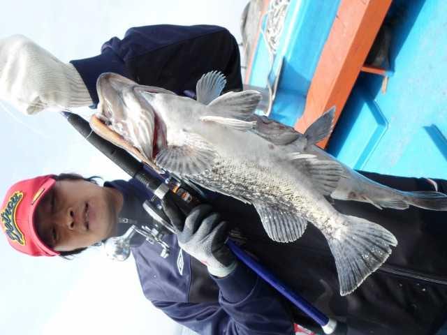 17일 조황 사진 13
