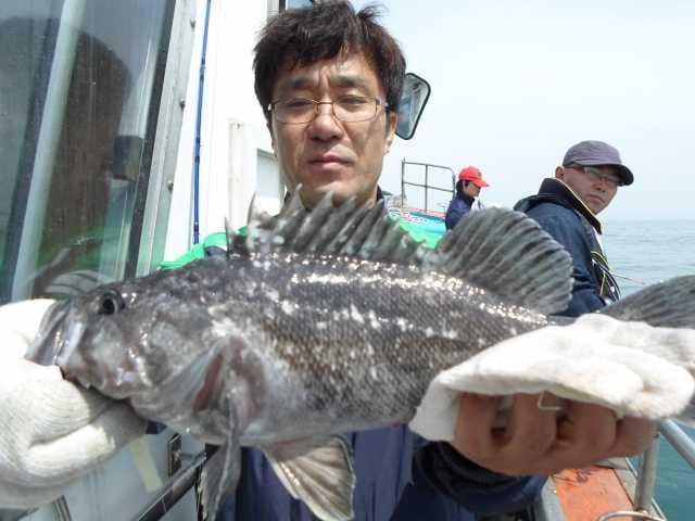 17일 조황 사진 15