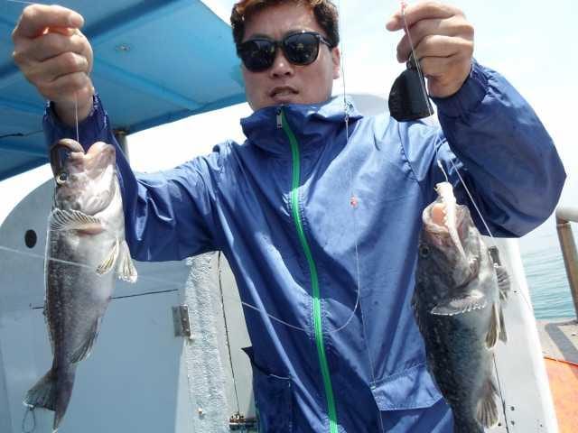 17일 조황 사진 17