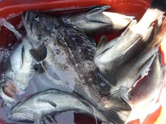 23일 단체조황 사진 17