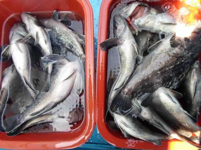 23일 단체조황 사진 2