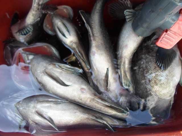 23일 단체조황 사진 4