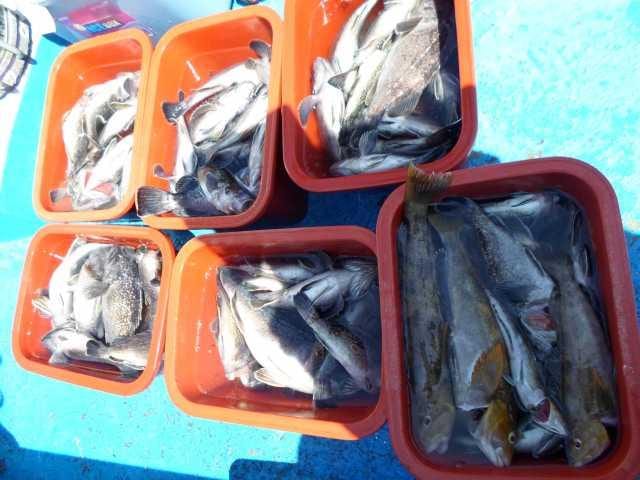 23일 단체조황 사진 20