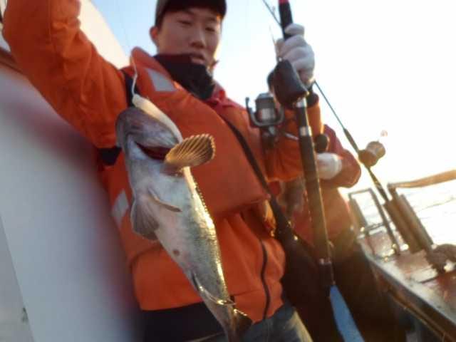 24일 놀리팀 조황 사진 3