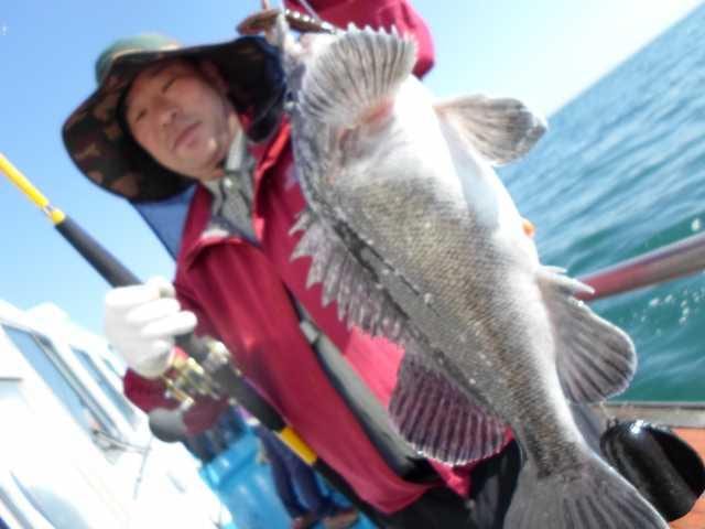 24일 놀리팀 조황 사진 11