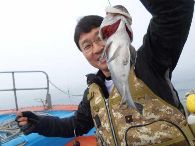 25일 조황2 사진 9