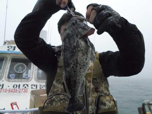 25일 조황2 사진 18