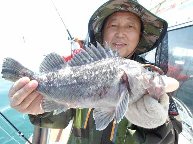 28일 굿조황  1 사진 5