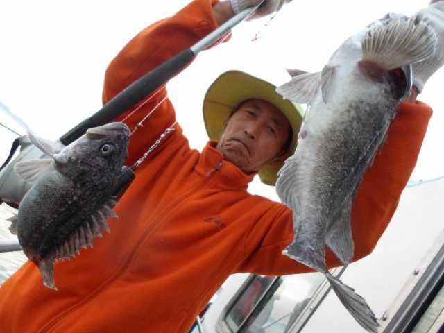 28일 굿조황 2 사진 1