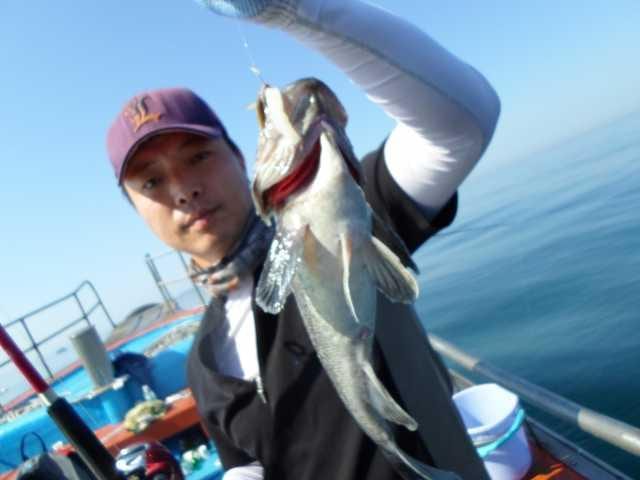 28일 굿조황 2 사진 19