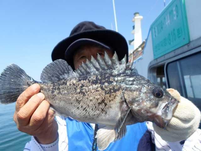 28일 굿조황 2 사진 22