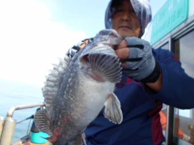 31일 굿조황 2 사진 15