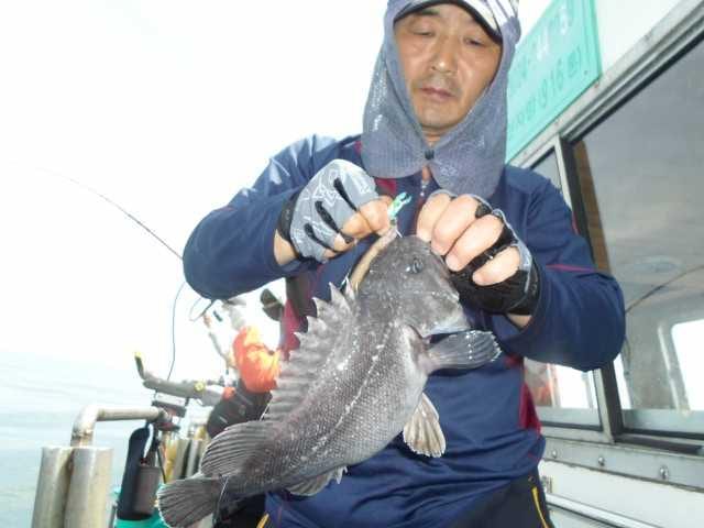 31일 굿조황 2 사진 20