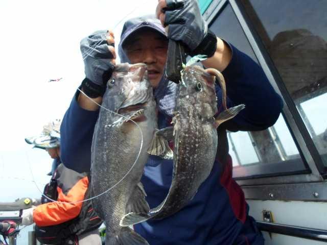 31일 굿조황 2 사진 6