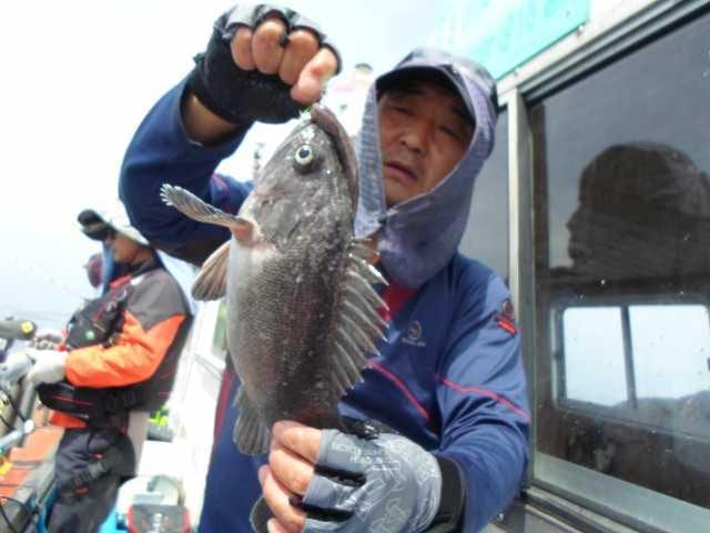 31일 굿조황 2 사진 26