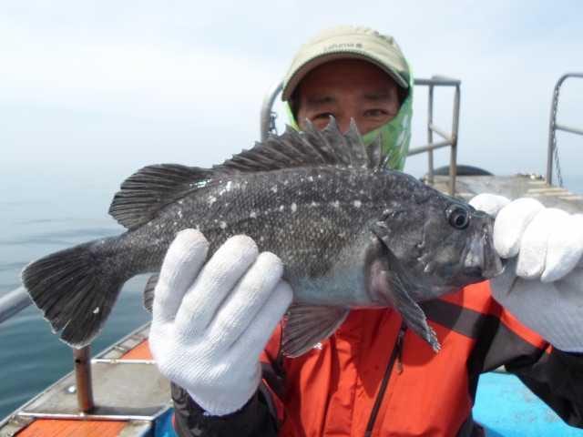 31일 굿조황 2 사진 29