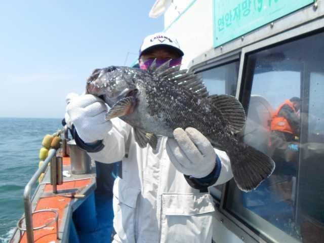 7일 조황 사진 5