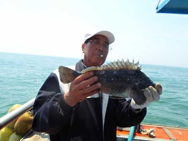 7일 조황 사진 7