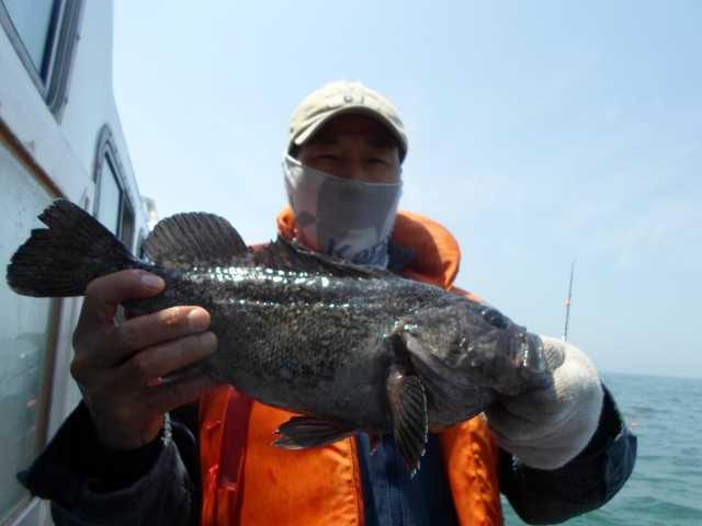 7일 조황 사진 1