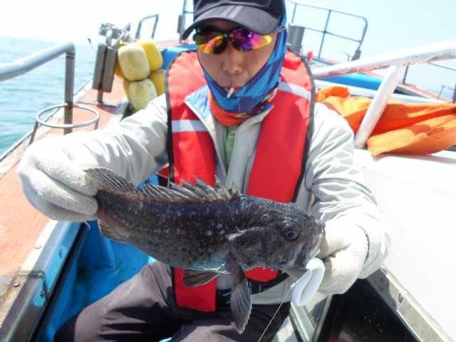7일 조황 사진 12