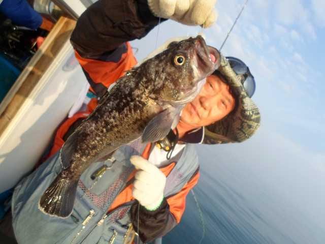 11일 조황 사진 4