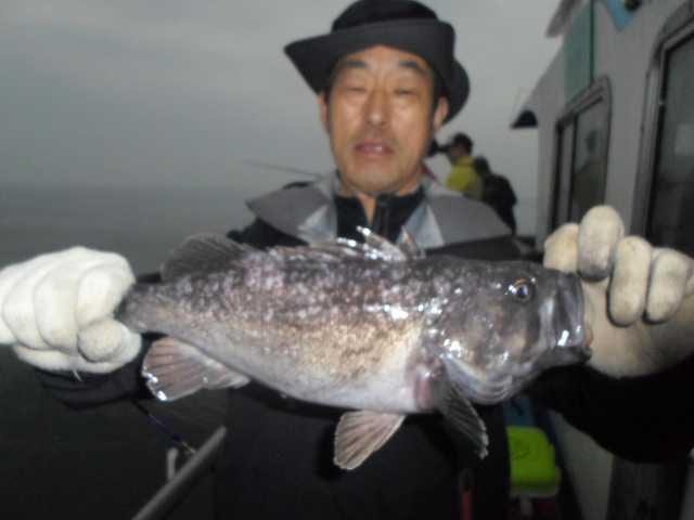11일 조황 사진 13