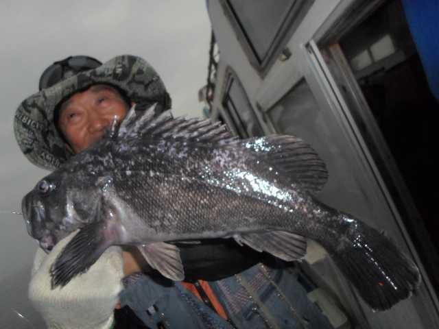 11일 조황 사진 15