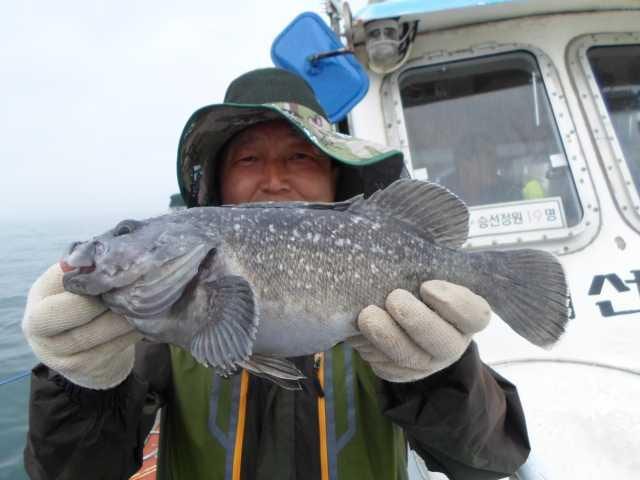 11일 조황 사진 22