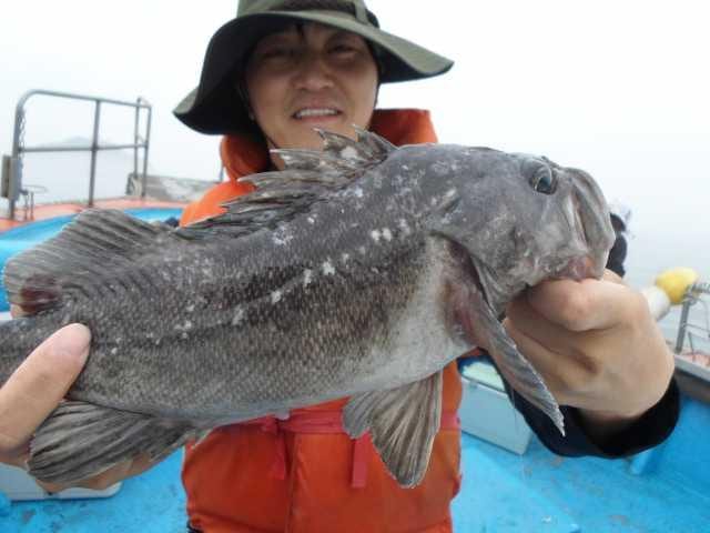 11일 조황 사진 24