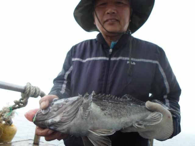 11일 조황 사진 25