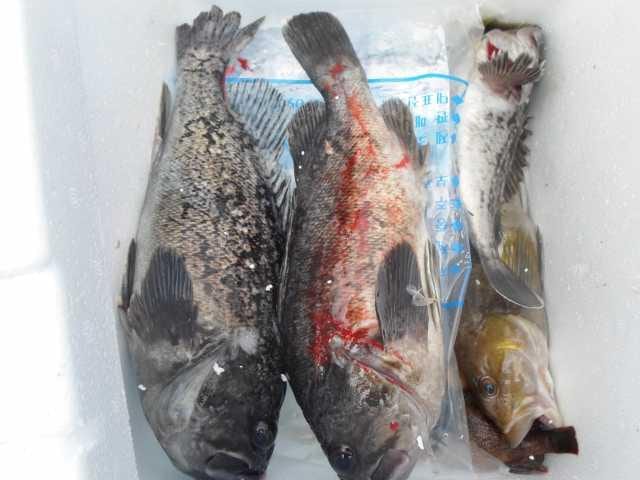 12일 단체조황 사진 14