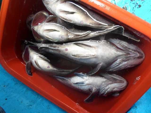 12일 단체조황 사진 15