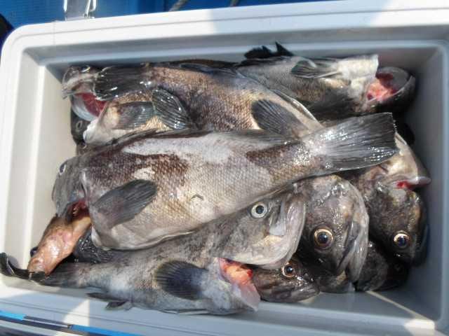 13일 단체조황 사진 3