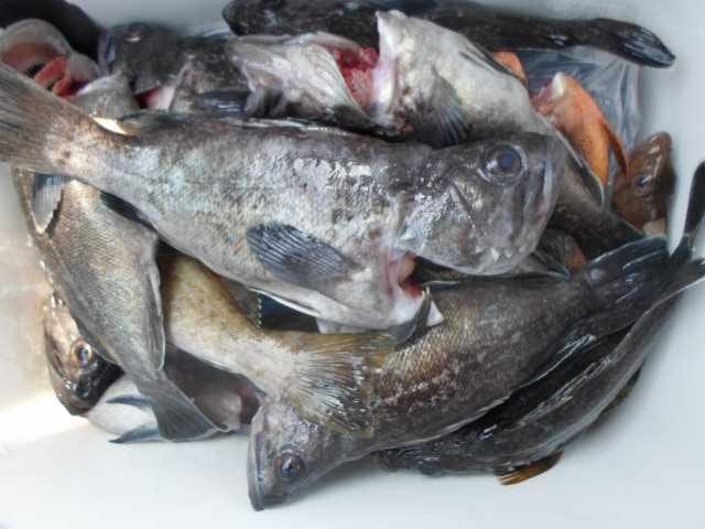 13일 단체조황 사진 21