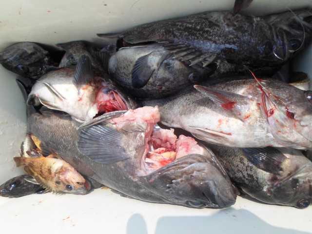 13일 단체조황 사진 22