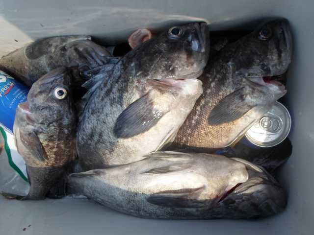 13일 단체조황 사진 24