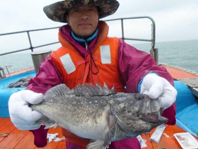 20일 좋은조황 사진 1