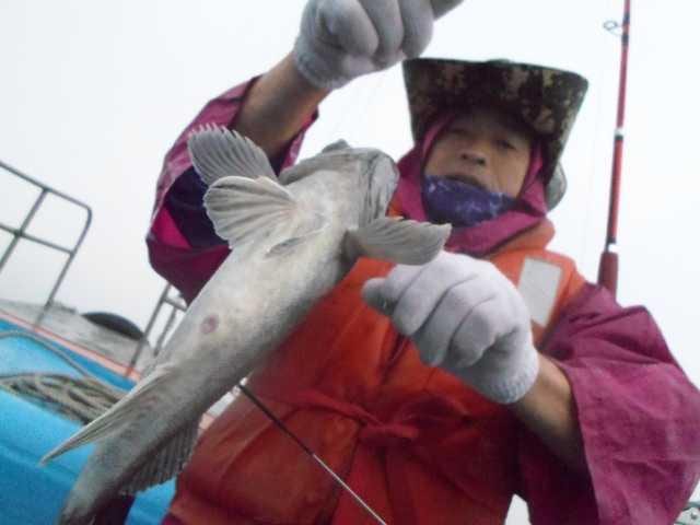 20일 좋은조황 사진 15