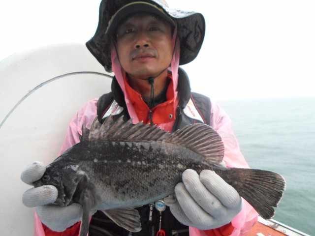 20일 좋은조황 사진 17