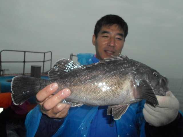 20일 좋은조황 사진 20