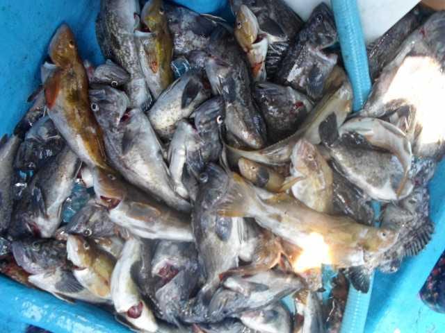 21일 단체조황 사진 2