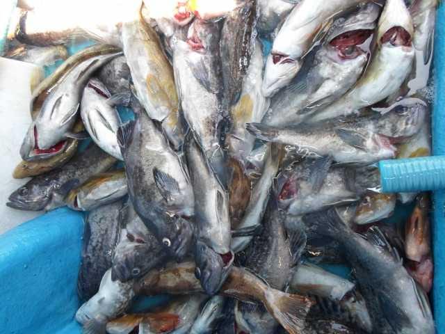 21일 단체조황 사진 3