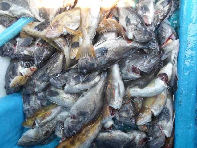 21일 단체조황 사진 1