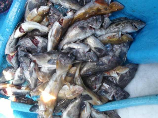 21일 단체조황 사진 10
