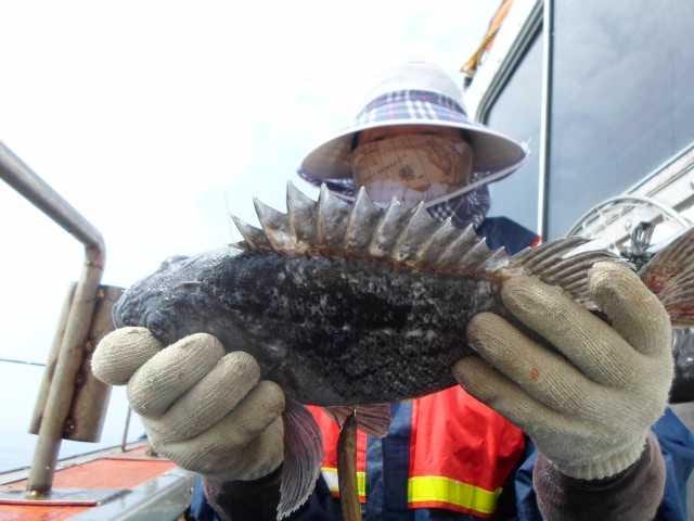 22일 조황 사진 6