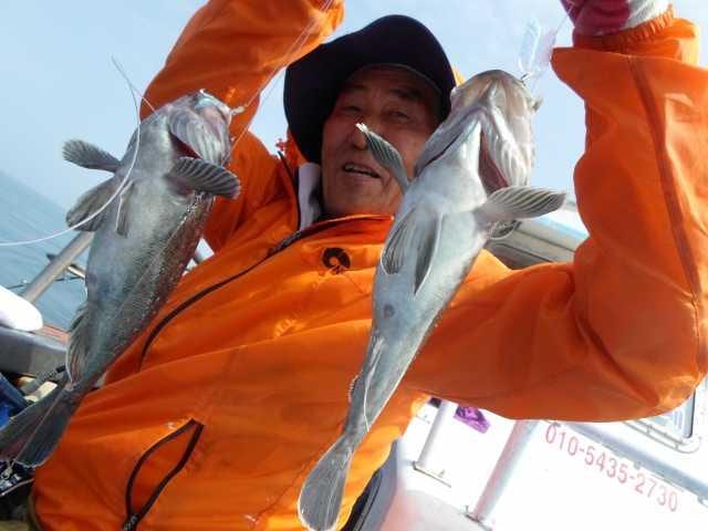 22일 조황 사진 7