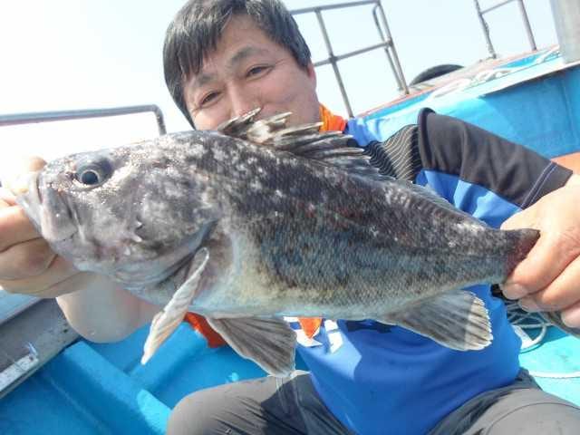 22일 조황 사진 9