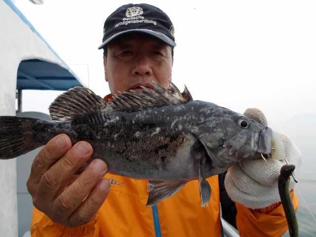 25일 굿2 사진 3