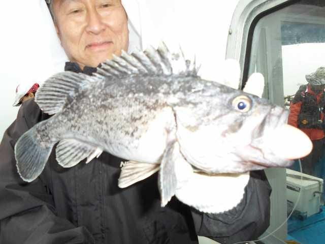 25일 굿2 사진 4