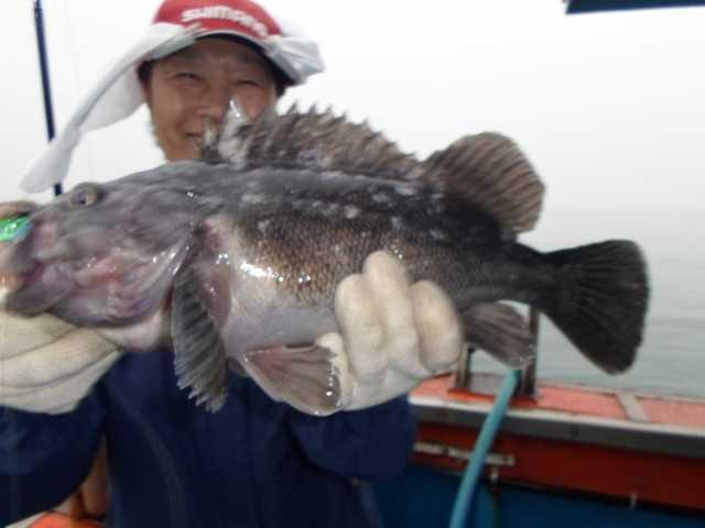 25일 굿2 사진 7